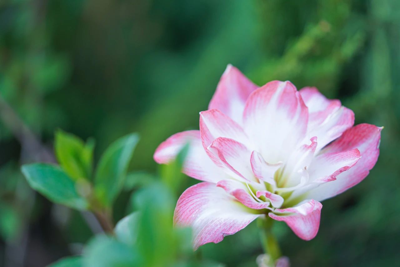 悟公上人：心念不空过，能灭诸有苦