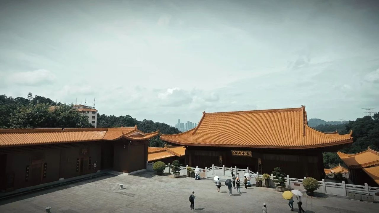 淡泊明志：一勺油中的人生智慧