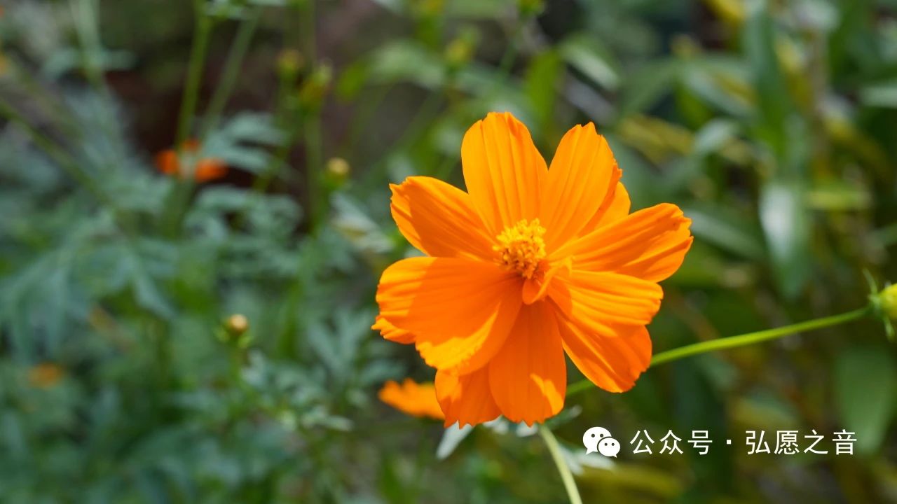 持戒的目的是化解烦恼