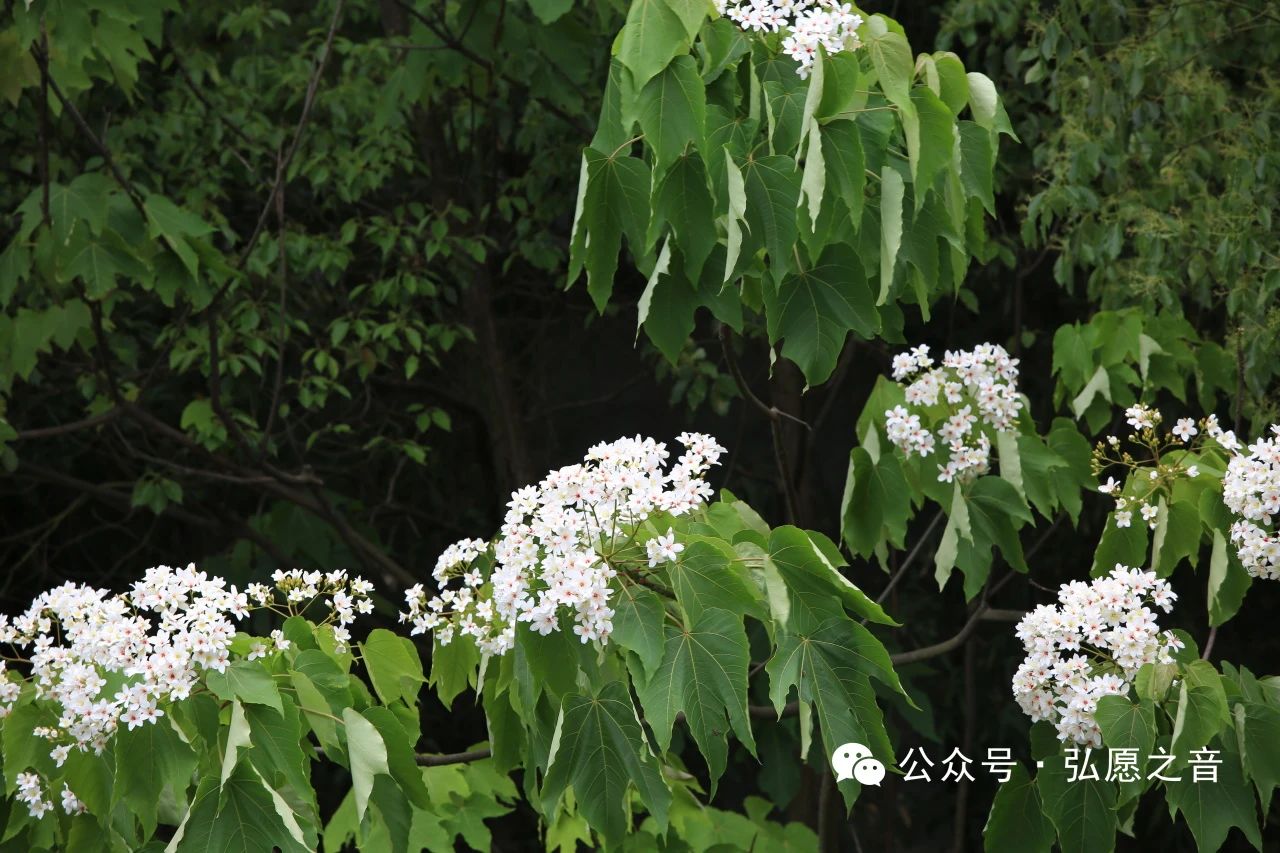 持戒的目的是化解烦恼