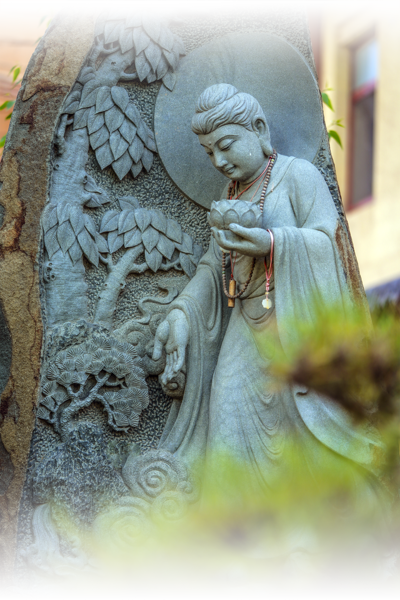 一念心净的价值，超过你想象