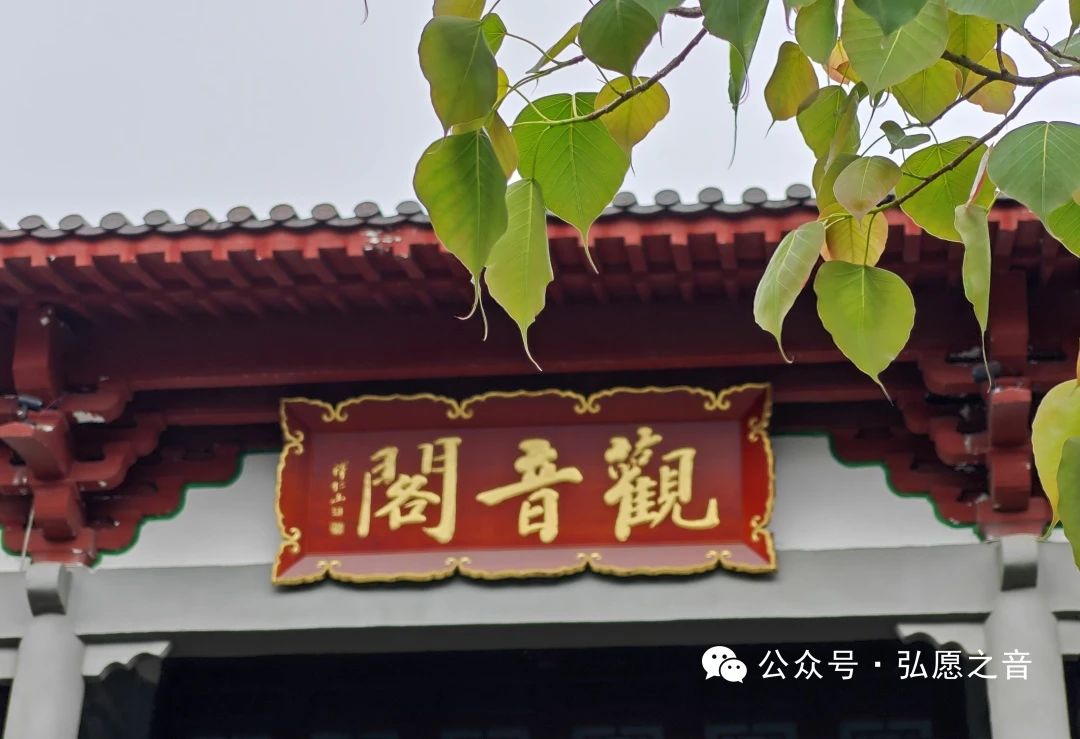 生活中的戒定慧练习