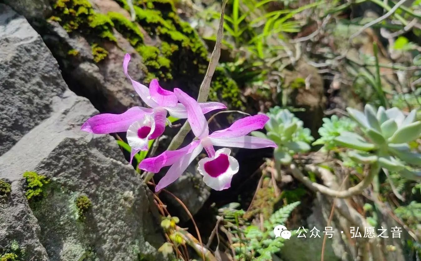 生活中的戒定慧练习