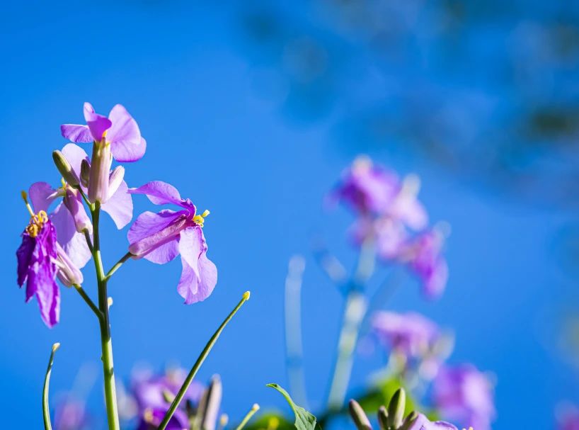 可以万年不悟，不可一日错路