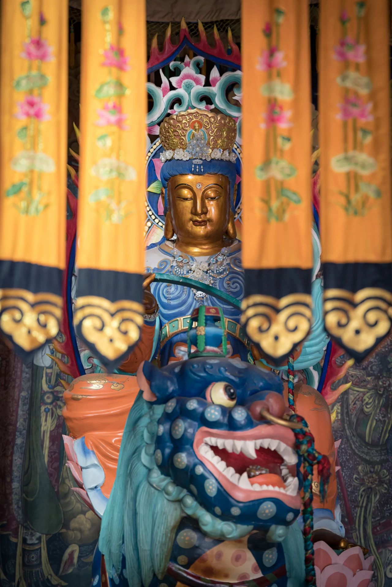 可以万年不悟，不可一日错路