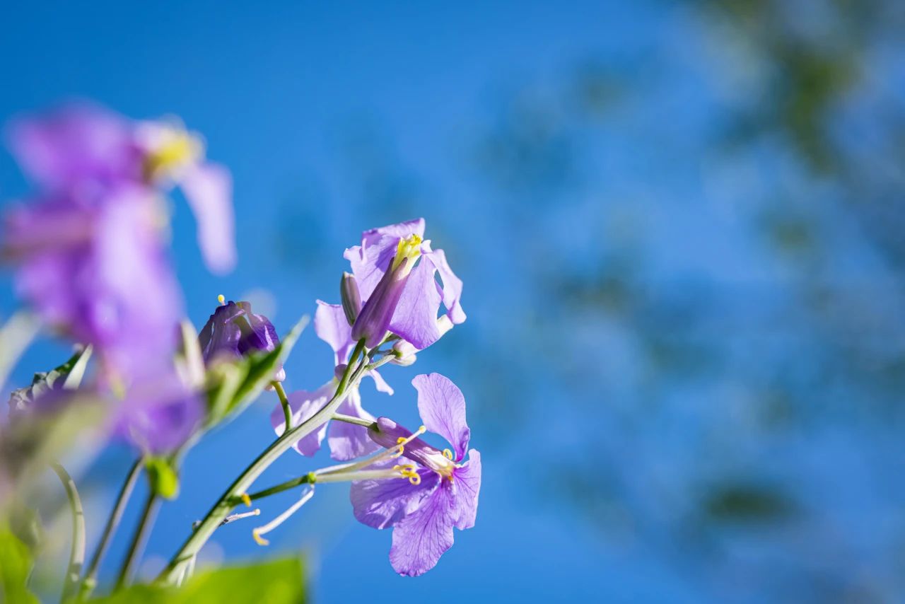 可以万年不悟，不可一日错路
