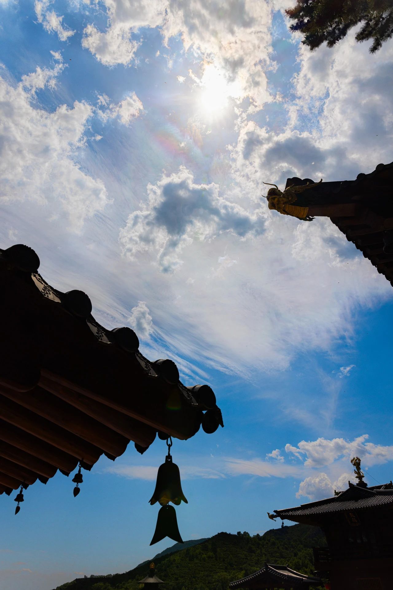 悟公上人：息思即是道，有思终不睹