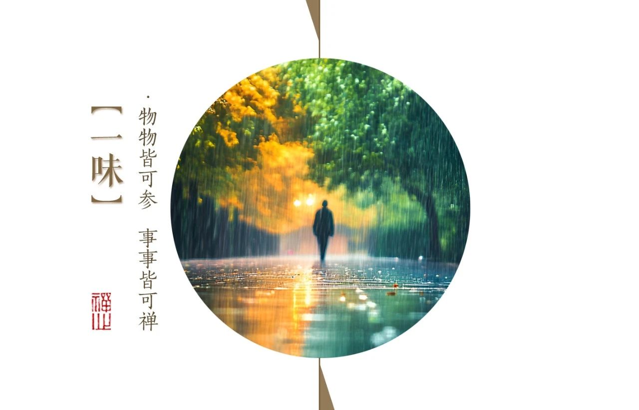 济群法师：雨中禅