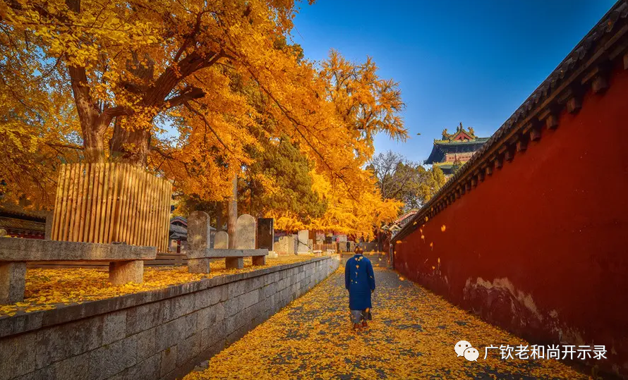 【广知】吃的苦难有多少，福报便有多少