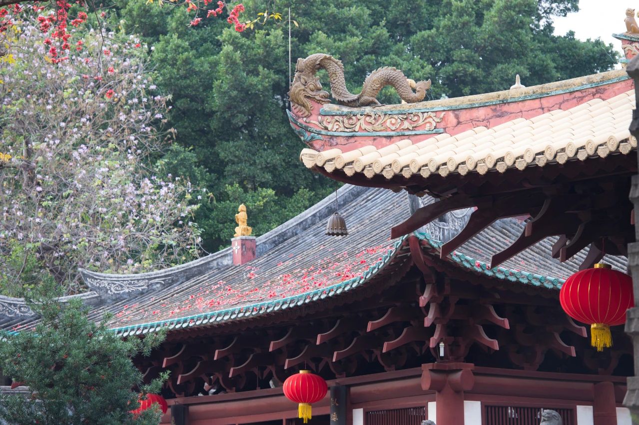 现代人学佛不受益的原因