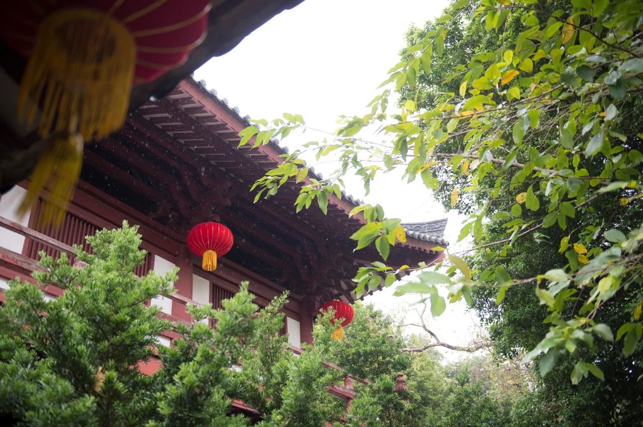 现代人学佛不受益的原因