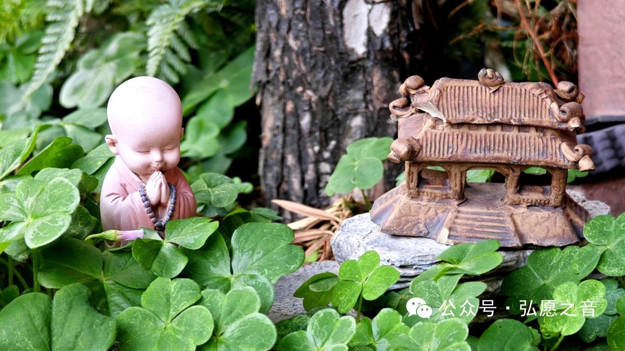 戒是幸福人生的守护方案