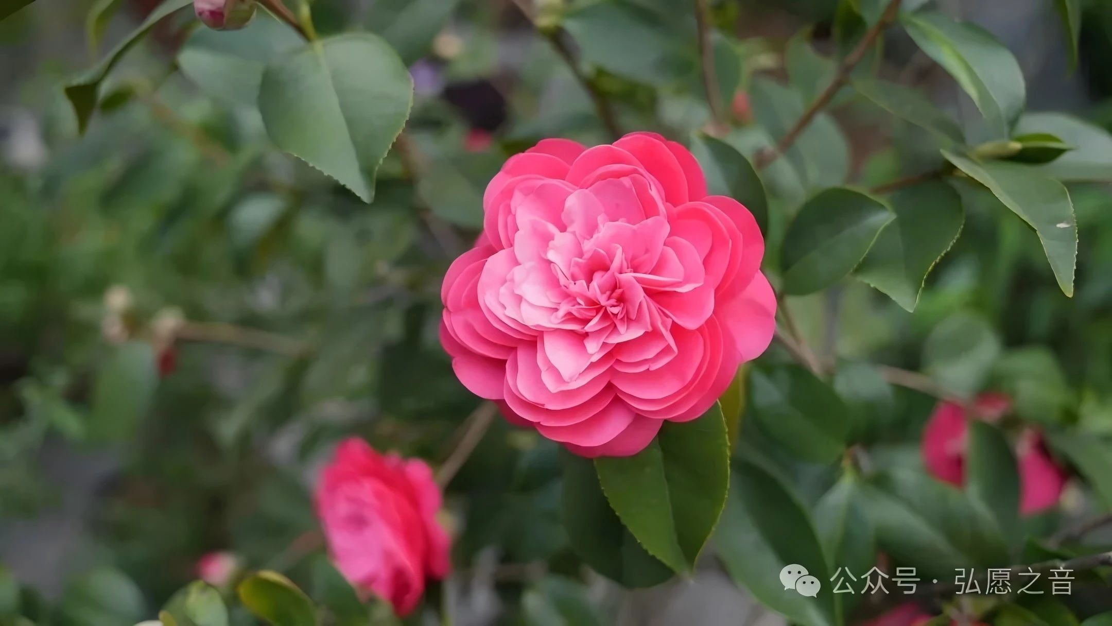 戒是幸福人生的守护方案