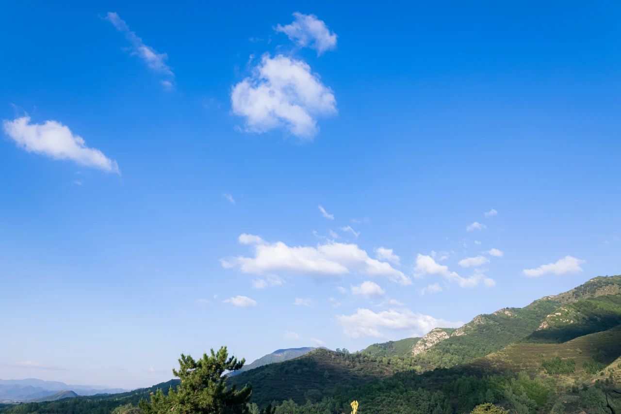 悟公上人：佛在世有什么好处呢？