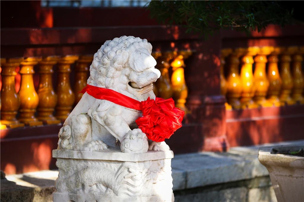 惜福的人，生活不会亏待你