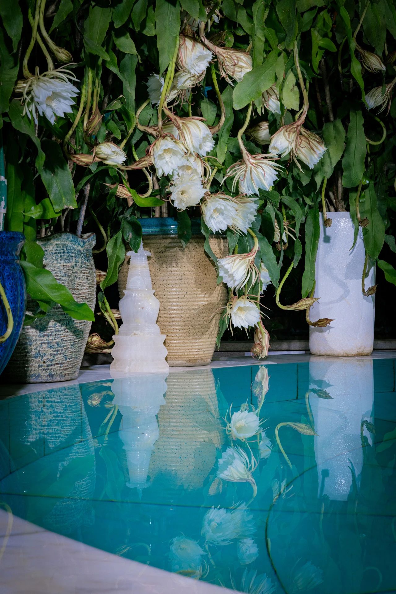 三宝地里感受智慧的清凉