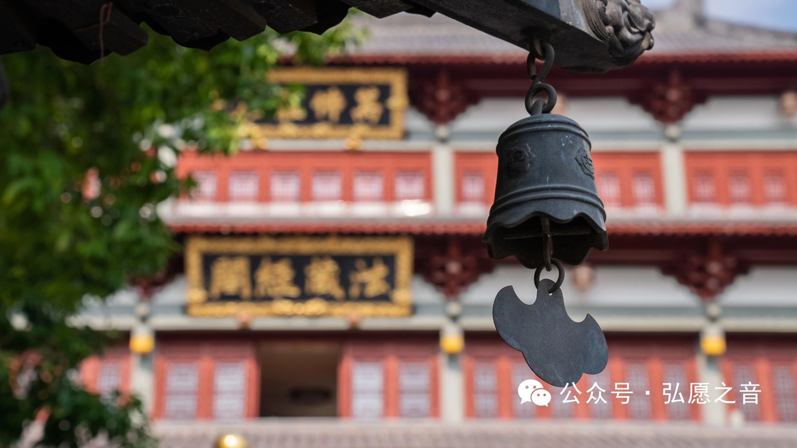 信佛不等于学佛