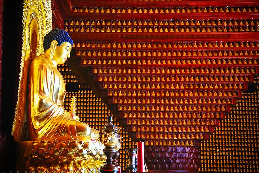 生命的答案：就在今天