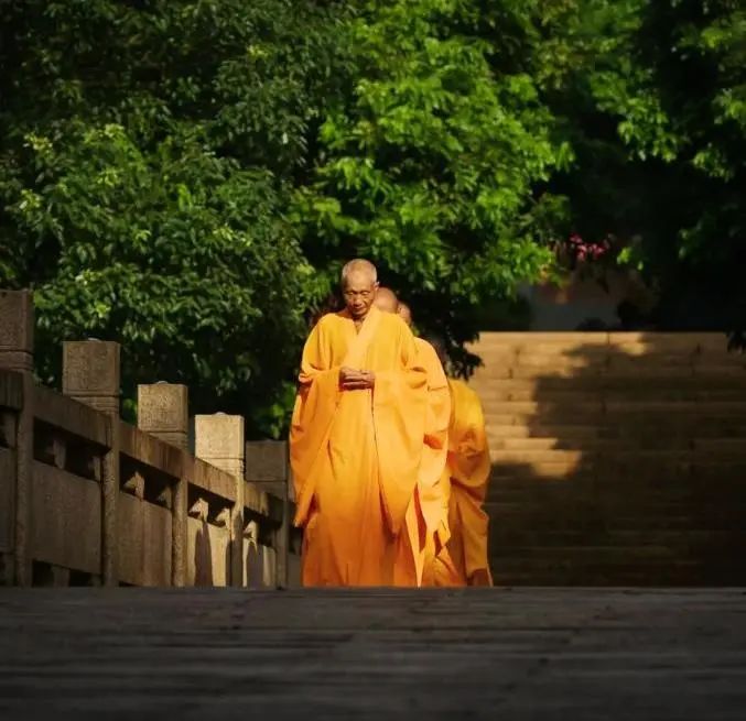 委员驿站扎根千年古寺！沈萌芽为南山广化寺“委员驿站”揭牌
