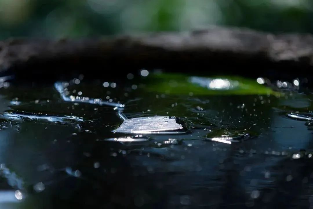 气温飙升？福报也可以一起升！