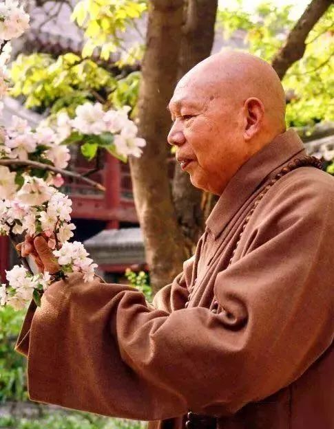 一诚长老：禅宗与净土宗之异同