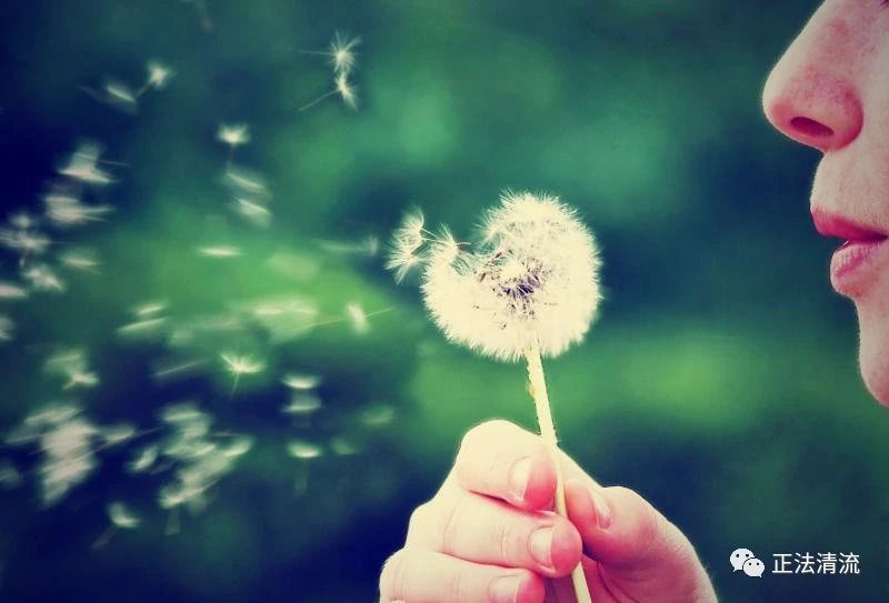 梦参老和尚：人生好像是自己安排的 , 其实你是瞎操心