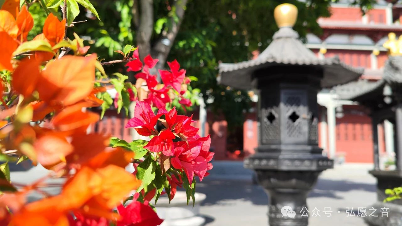 佛法是可操作的幸福方法