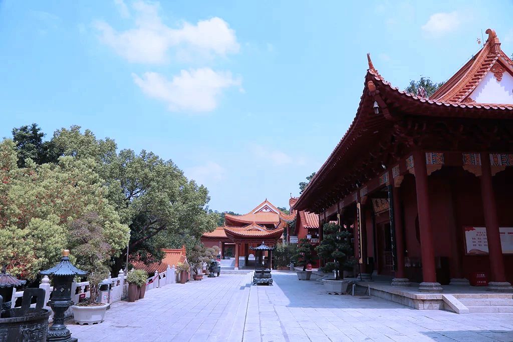 倾其所有的布施：最贫者何以成就最富足果报？