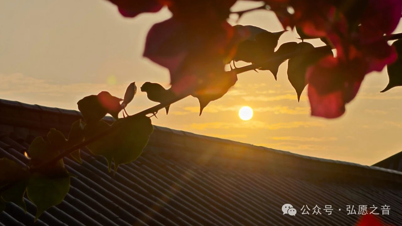 修福报、赚功德的最好机会