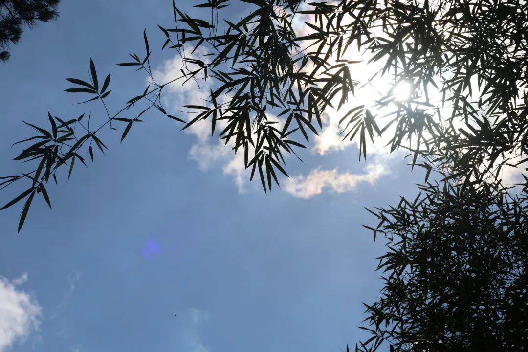 现实的生活是我们人生的最高学府