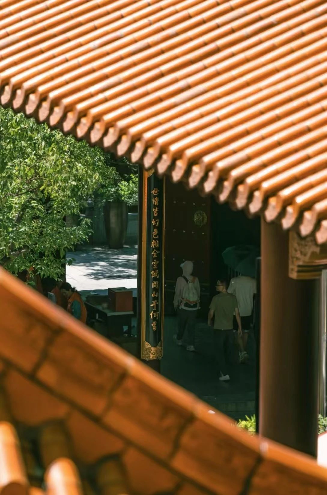 从《菜根谭》到菩萨心的人生修行