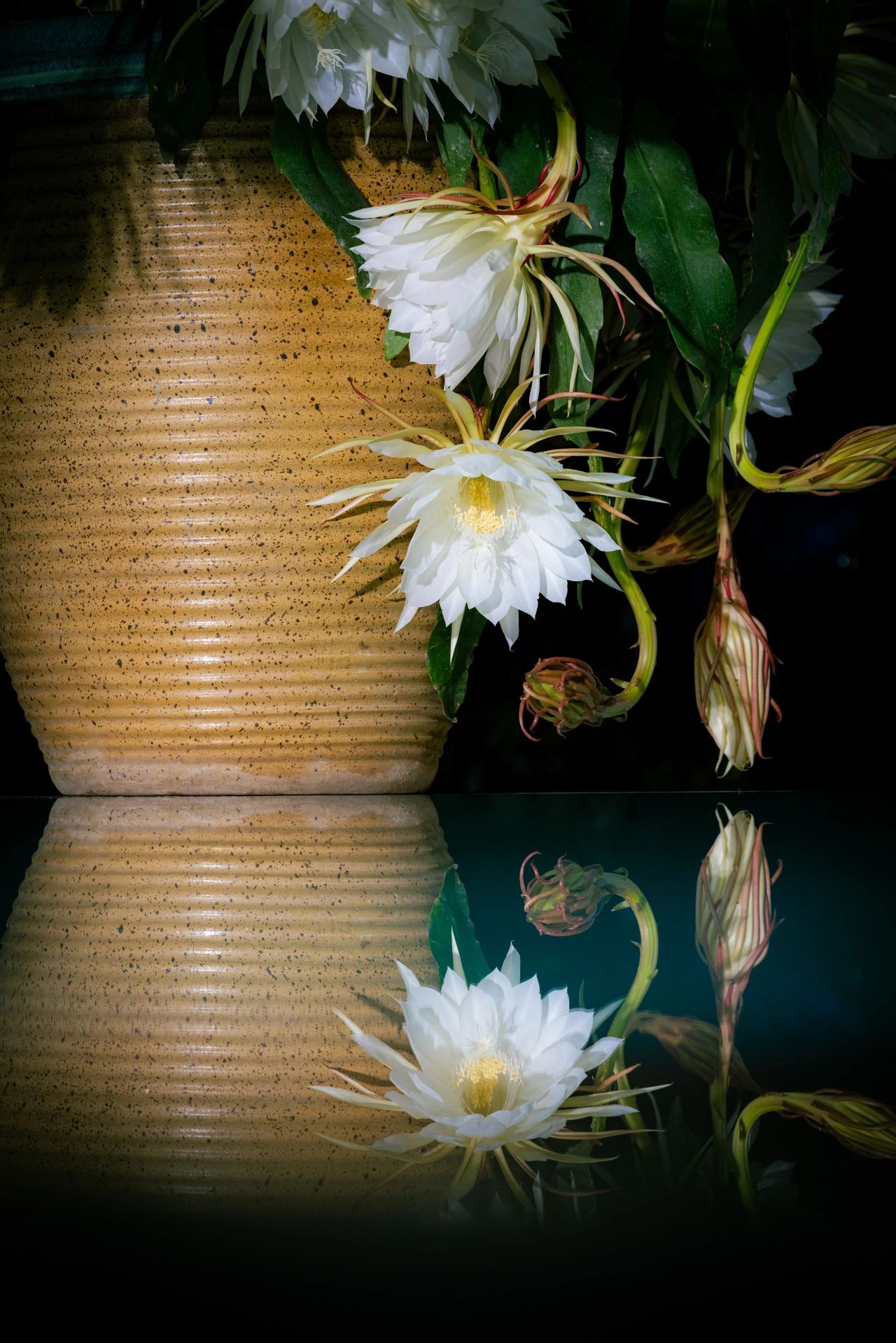 修行，掺不了一点假