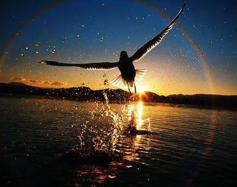 父母教导儿女，帮助他提升生命品质很重要