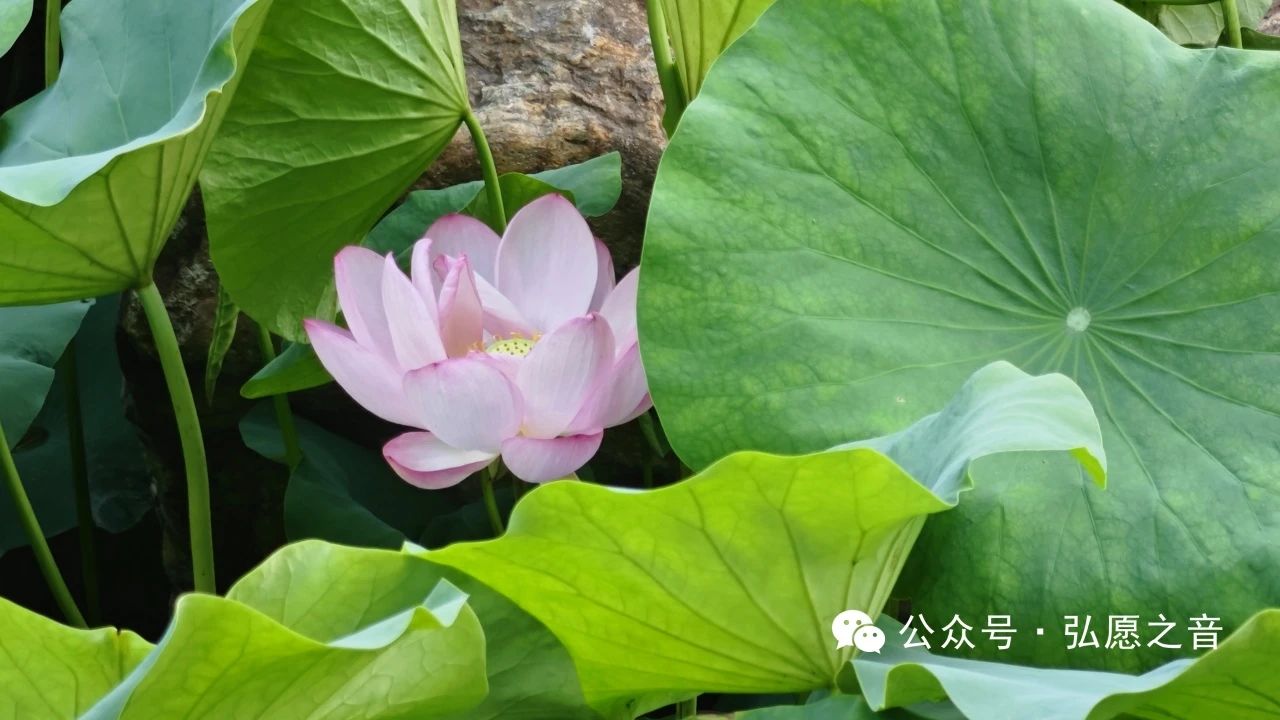 养成好习惯，在坚持中进步