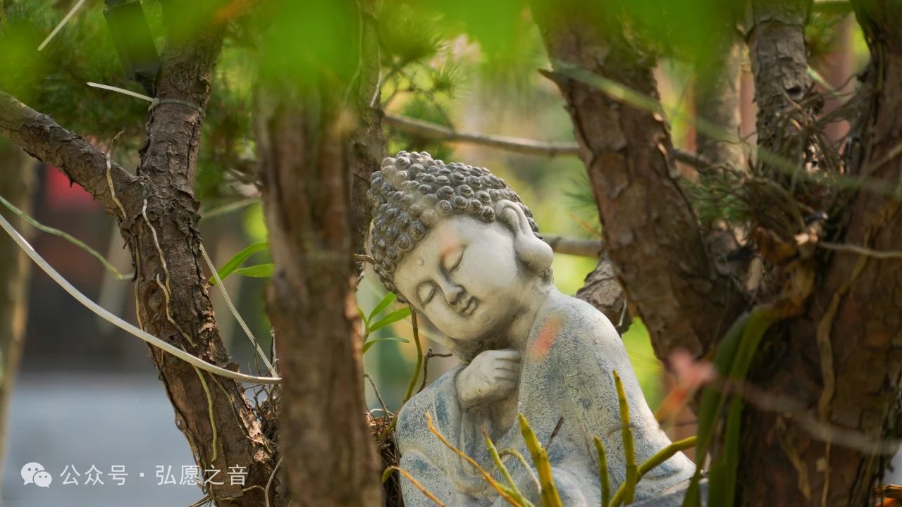 转化心态，念念成佛