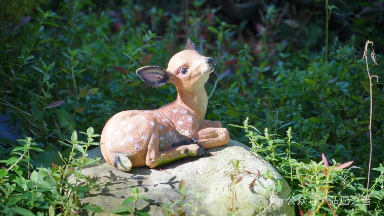 佛法是幸福生活的方法