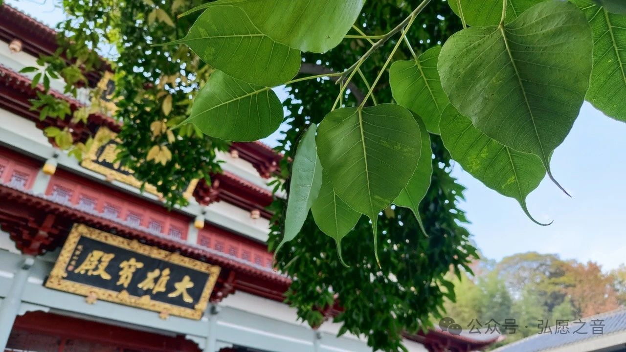 学佛就是降伏自己的心