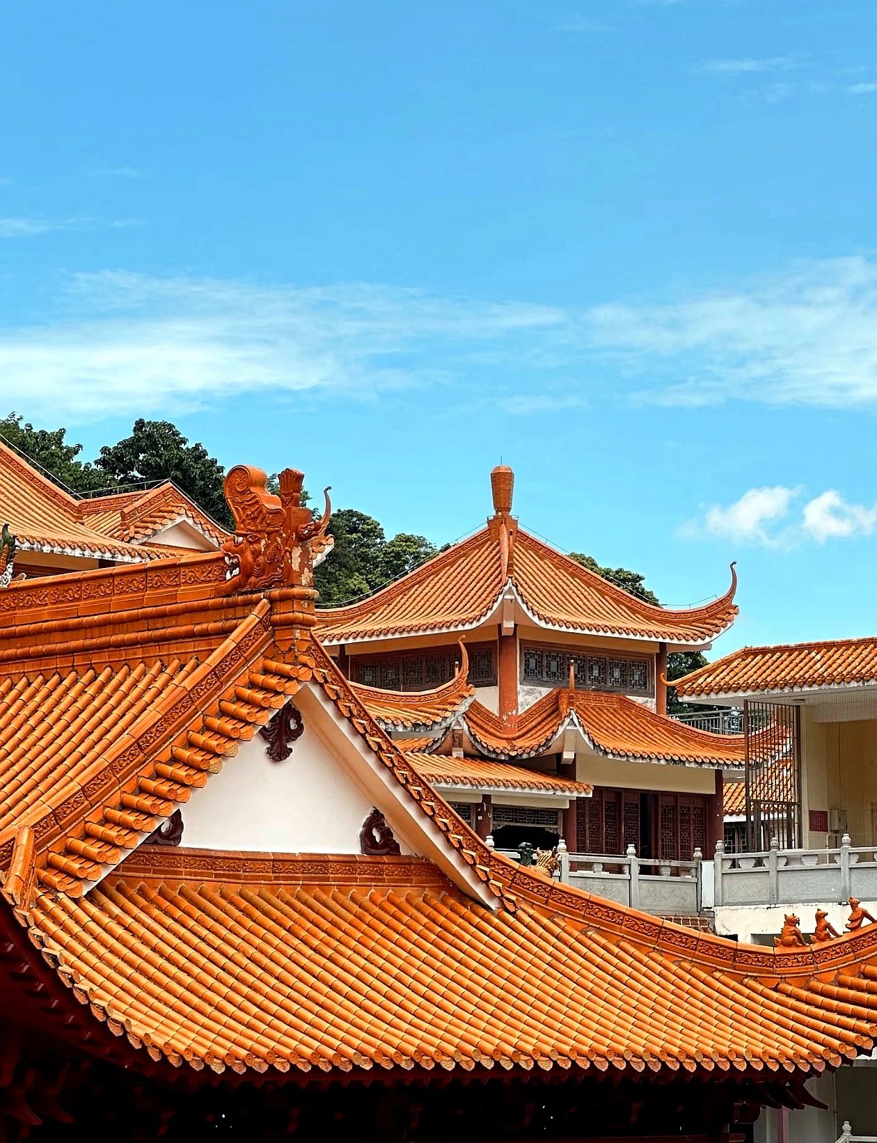 善良是破迷开悟的明灯