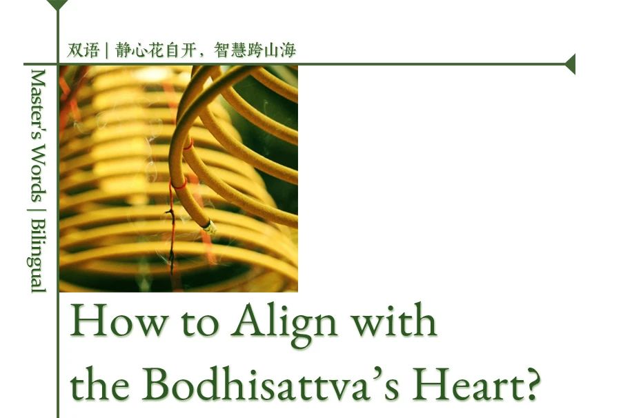 济群法师：怎样做，才能与菩萨心相应？
