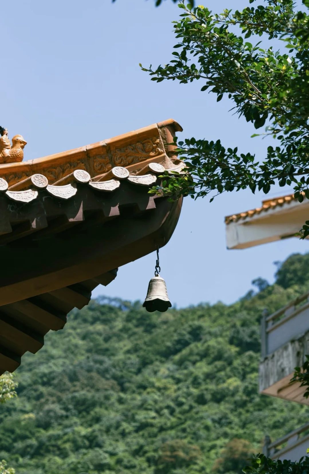 忍辱仙人的掌心莲