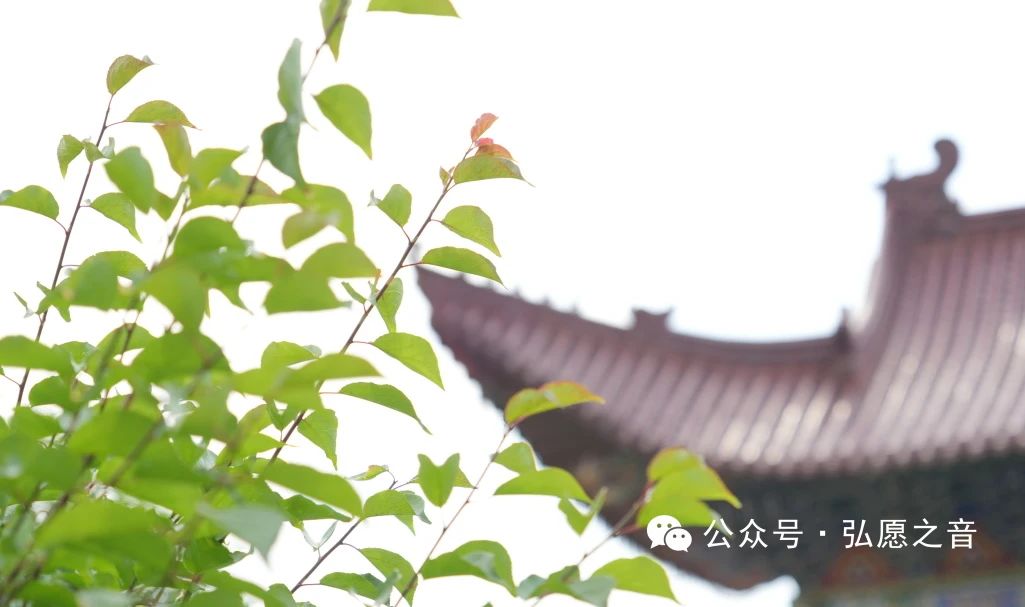 布施的人会收获什么？