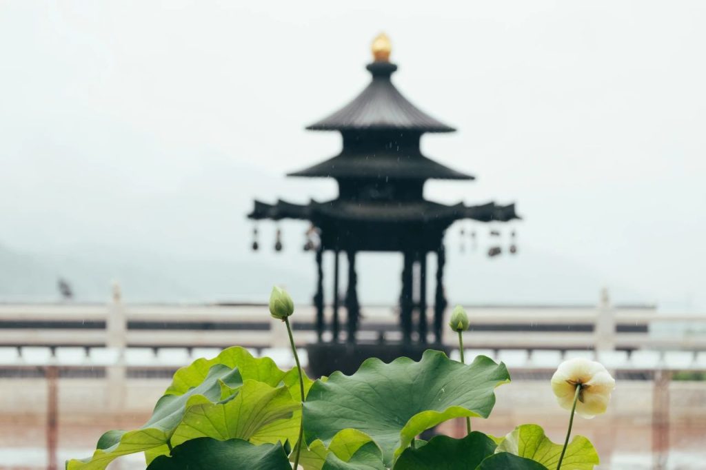 净界法师 : 我们待人处事，在我们的范围之内，能够做得到的，多多帮助别人，给人家方便