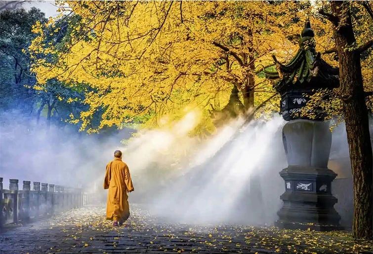 佛法不怕你烦恼重，怕的是你没有善根