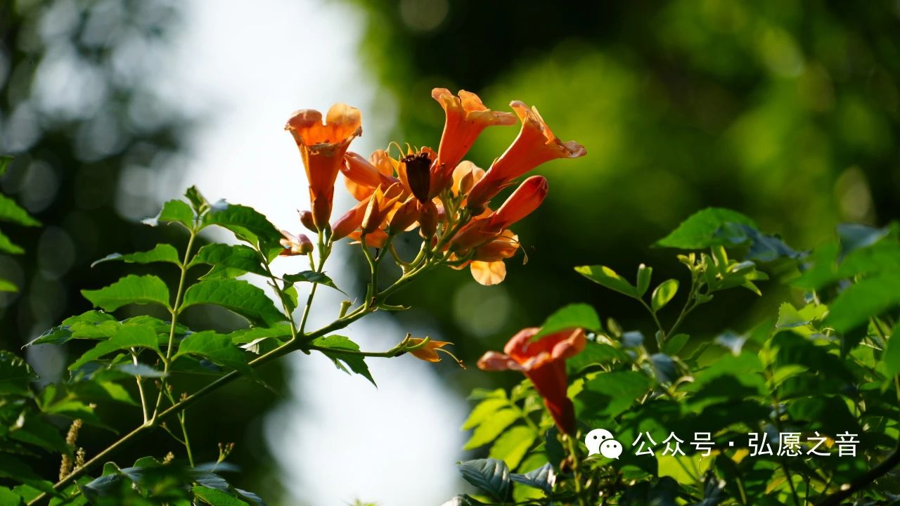 生活中如何践行布施