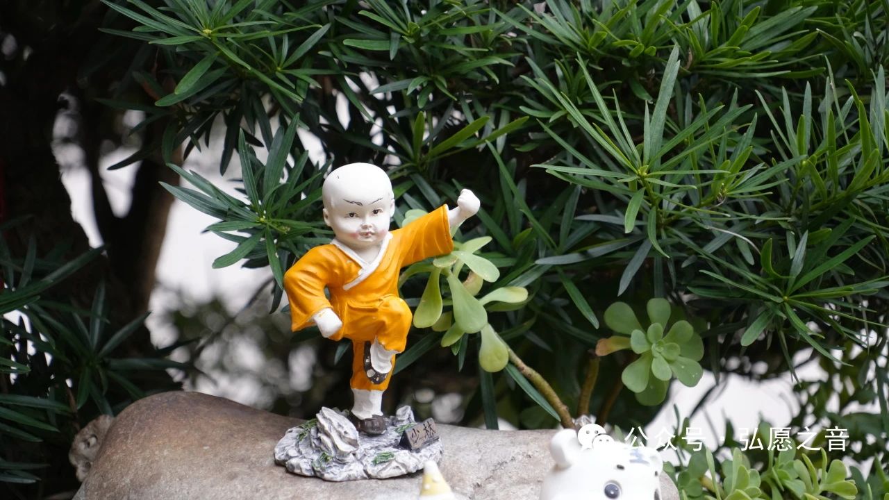 生活中如何践行布施