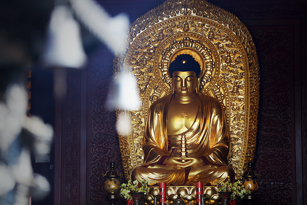 当善良成为生命的本能