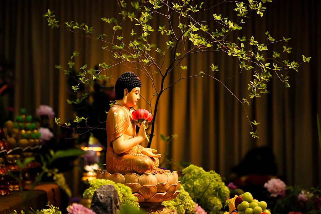 回头无益，放下即是新生