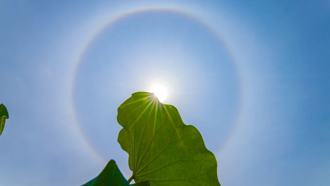 在佛法里，起信是非常不容易的