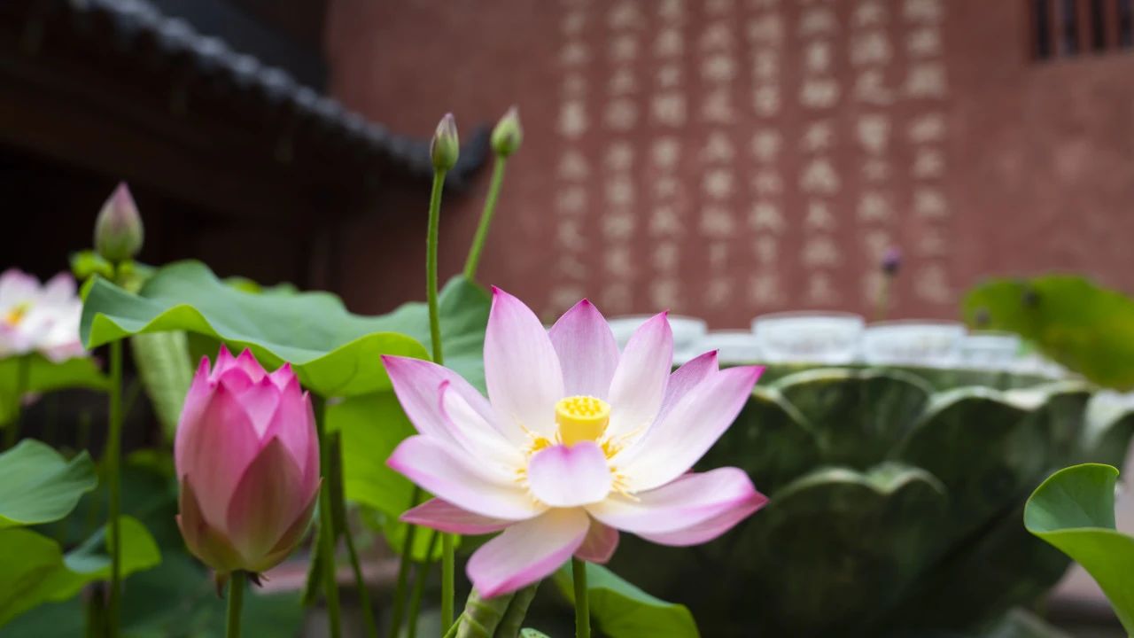 在佛法里，起信是非常不容易的