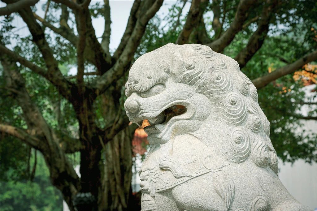 一次指路的随喜心，如何成就无量福德？